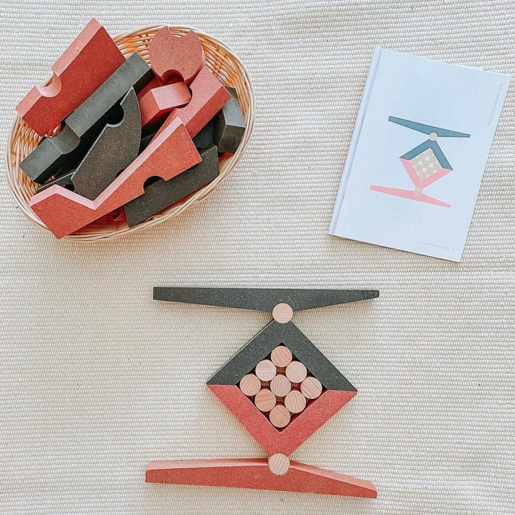 wooden Montessori puzzle toy with challenge booklet